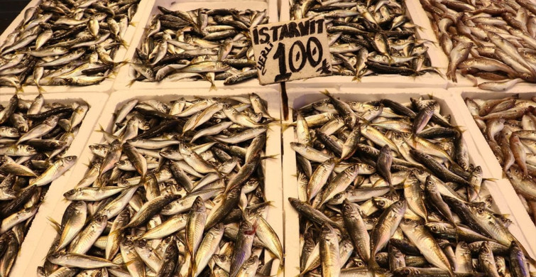 Ramazan Ayında Trabzon'da Balık Talebi Artıyor