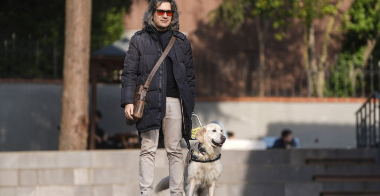 Rehber Köpeklerin Eğitimi: Görme Engellilerin Yol Arkadaşları