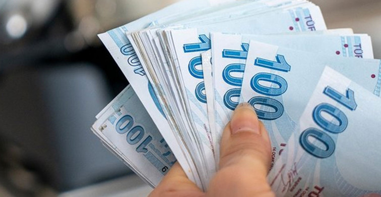 Resmi Gazete’de yayımlandı: Tarımsal destek ödemeleri hesaplara yatıyor