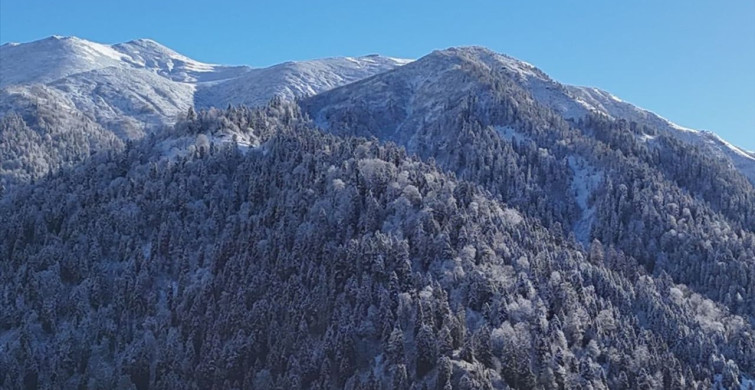 Rize ve Artvin Yaylalarında Kar Yağışı Etkili Oldu