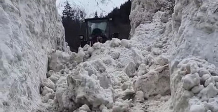 Rize Yaylalarında Kar Temizleme Çalışmaları Devam Ediyor