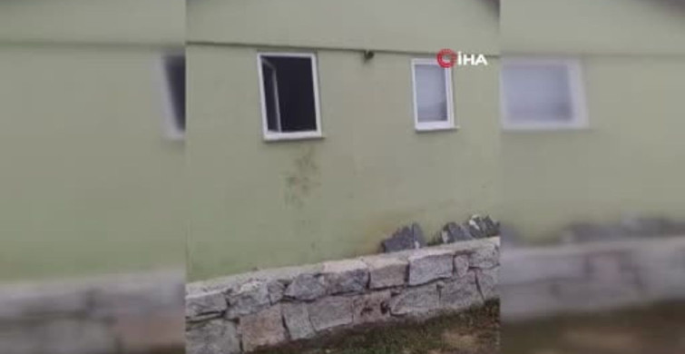 Rize'de ayı paniği: Kaçkar Koçdüzü yaylasında 20 eve girdi