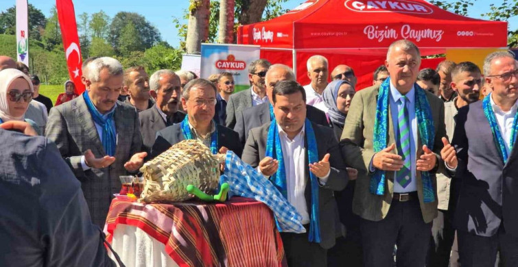 Rize'de Çay Sezonu Coşkuyla Başladı