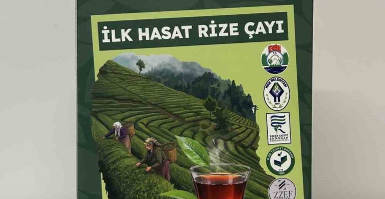 Rize'de Çay Tarımında Yenilikçi Model: Migros’tan Stratejik İş Birliği