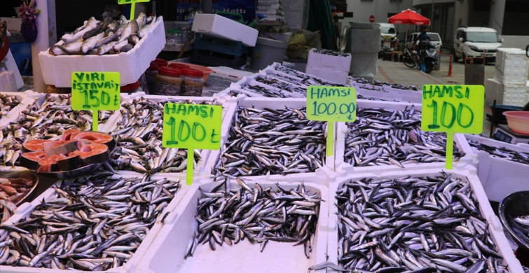 Rize'de Hamsi Fiyatları 100 Lira