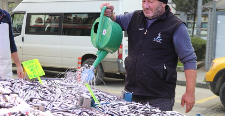 Rize'de İstavrit Balığı Dikkat Çekiyor