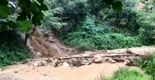 Rize'de Kuvvetli Yağış: Köy Yolları Ulaşıma Kapandı