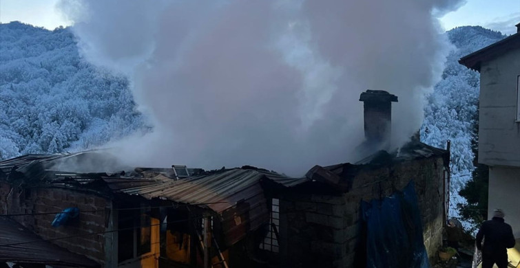 Rize'de Yangın: İki Ev Küle Döndü