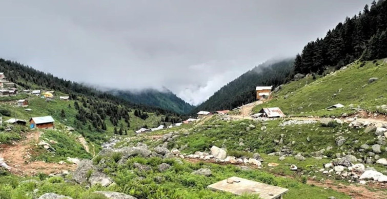 Rize’nin Hamlakit yaylasında kaybolan Rus turistler sağ olarak bulundu