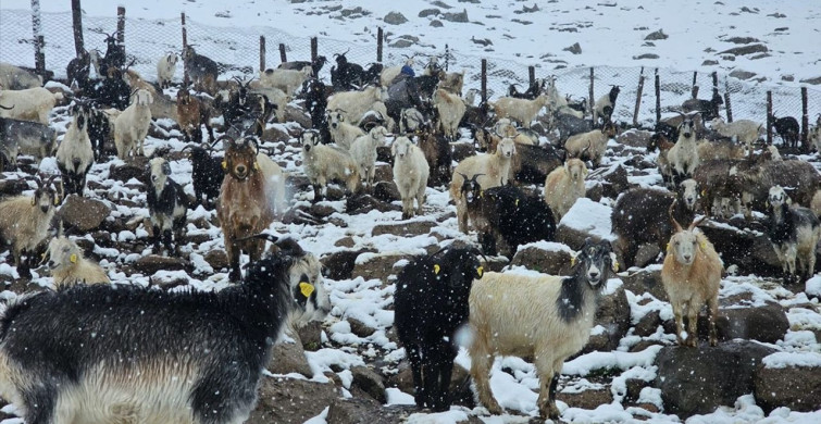 Rize'nin Yüksek Kesimlerine Kar Yağdı