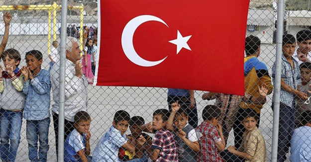 Rus Akademisyen Uyardı: Türkiye Sınırı Açarsa...