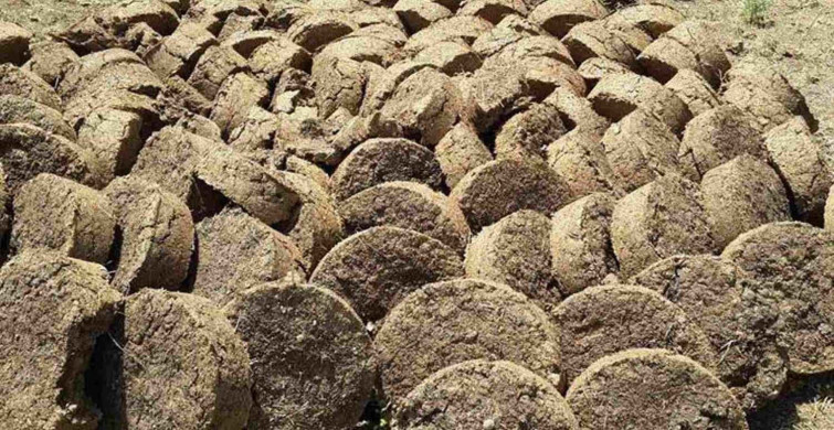 Rüyada hayvan dışkısı görmek ne anlama gelir? Rüyada hayvan dışkısı görmenin anlamı