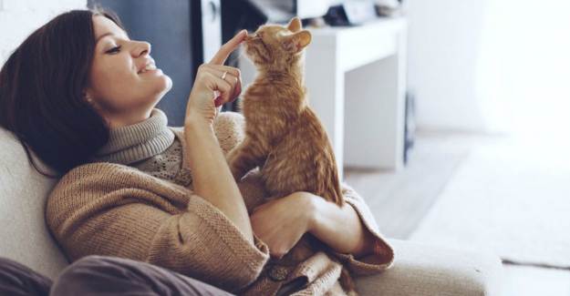 Rüyada Kedi Sevdiğini Görmek Ne Anlama Gelir?
