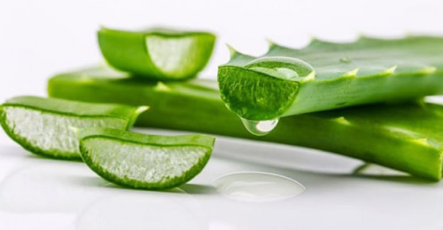 Saç ve Cilt Bakımında Mucize: Aloe Vera 