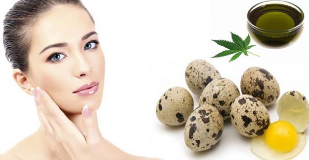 Saçları Gürleştiren Bıldırcın Yumurtası Maskesi