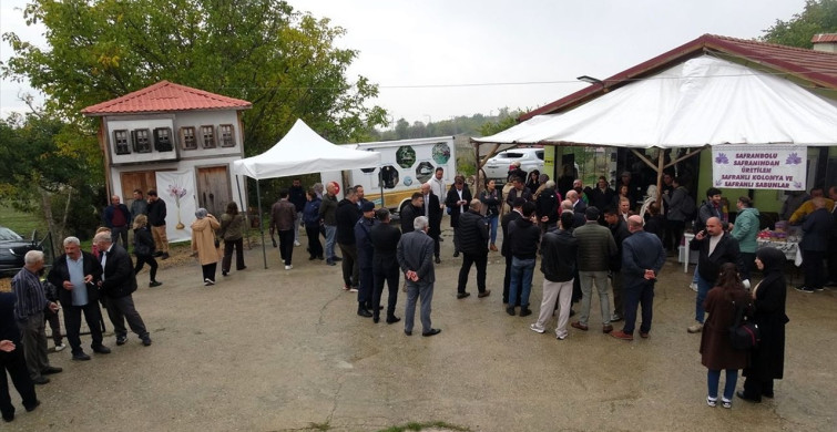 Safranbolu'da 9. Safran Festivali Coşkuyla Tamamlandı