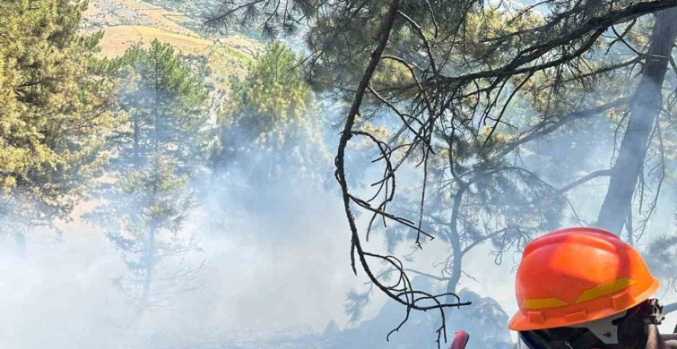 Saimbeyli’de çıkan orman yangını kontrol altına alındı