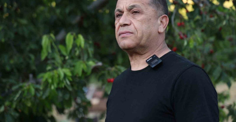 Saimbeyli’nin simgesi dalbastı kirazında hasat bereketli başladı
