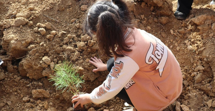 Sakarya ve Çevre İllerde Fidan Dikim Etkinlikleri