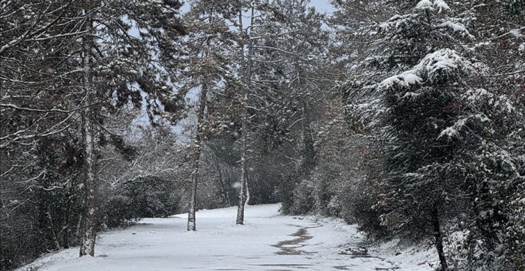 Sakarya ve Çevresinde Kar Yağışı Etkili Oldu