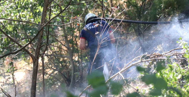 Sakarya'da ağaçlık alanda çıkan yangın hızla kontrol altına alındı