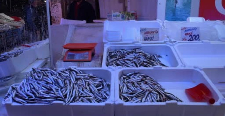 Sakarya'da Av Yasağı Öncesi Son Balıklar Tezgahlarda