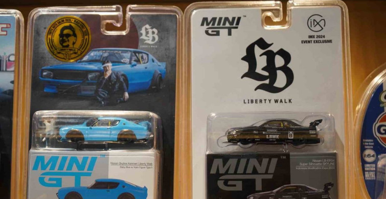 Sakarya'da Biriktirilen Diecast Araçların Hikayesi