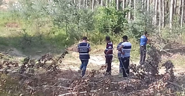 Sakarya'da Dere Kıyısınde Kafası Kesilmiş Bir Erkek Cesedi Bulundu  