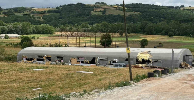 Sakarya'da hayvan çiftliğinde yangın: 5 kuzu telef oldu, bin balya yandı