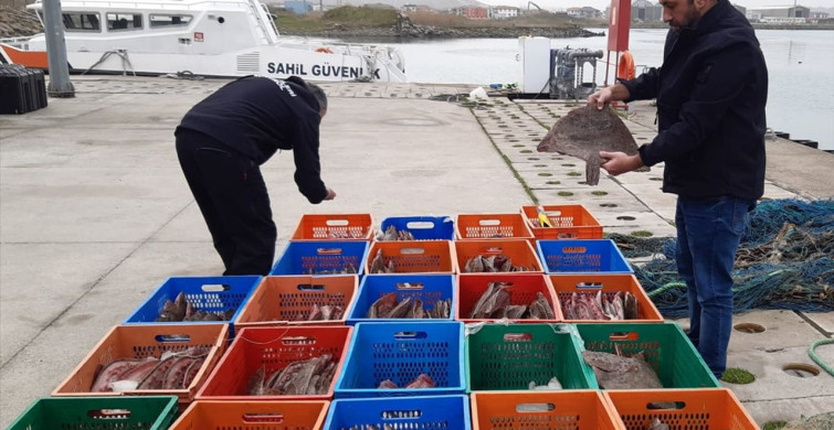 Sakarya'da Kaçak Kalkan Avcılığına Ceza