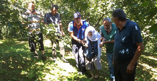 Sakarya'da Kaybolan 91 Yaşındaki Kadın Bulundu