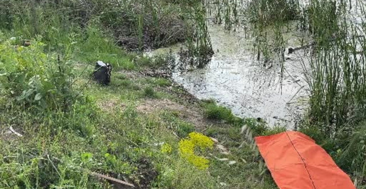 Sakaryada Tabiat Parkında Kadın Cesedi Bulundu