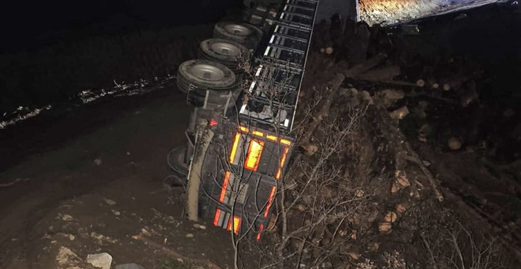 Sakarya'da Tomruk Yüklü Tır Devrildi: 3 Yaralı