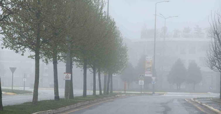 Sakarya'da Yoğun Sis Görüş Mesafesini Düşürdü