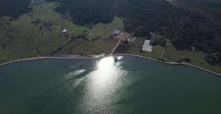 Sakarya'nın Gizli Cenneti: Yapay Göletli Yayla