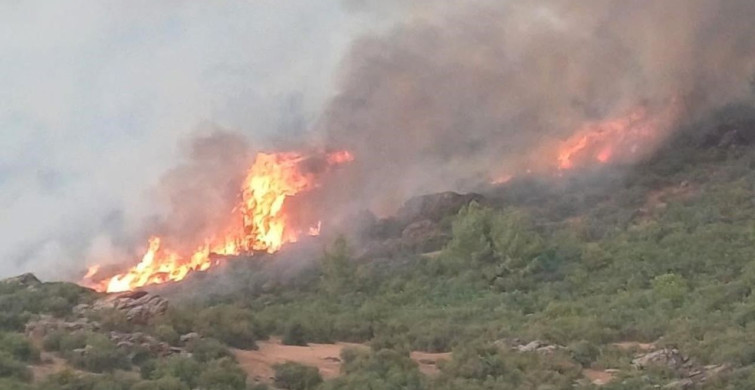 Salihli'de Orman Yangınları İçin Önlem Kararı