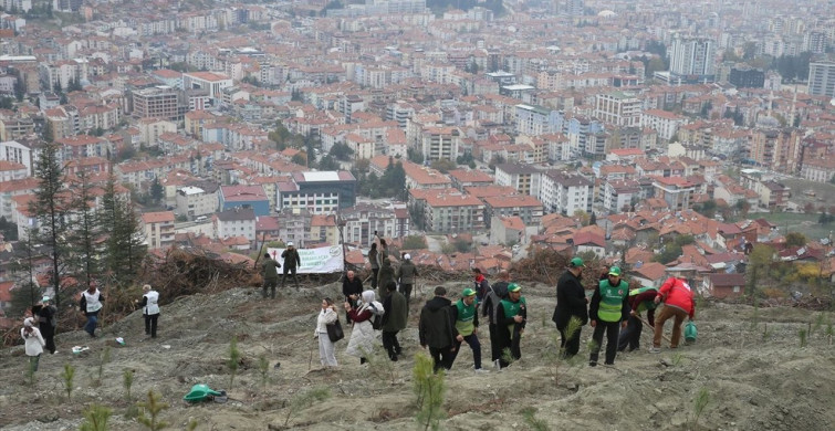 Samsun ve Çevre İllerde Fidan Dikimi Yapıldı