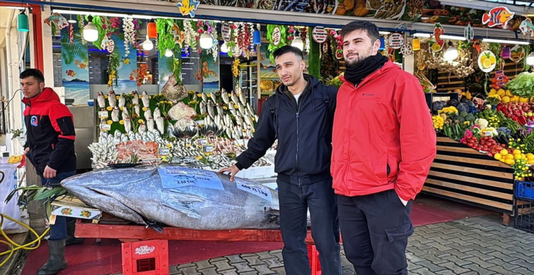 Samsun'da 353 Kilogramlık Orkinos Satışta