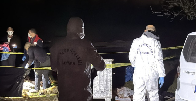 Samsun'da 9 Ölü Köpekle İlgili Soruşturma Başlatıldı