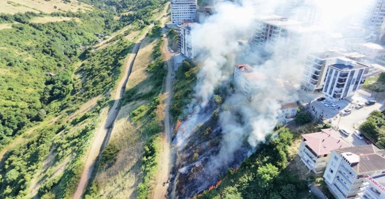 Samsun'da anız yangını kontrol altına alındı