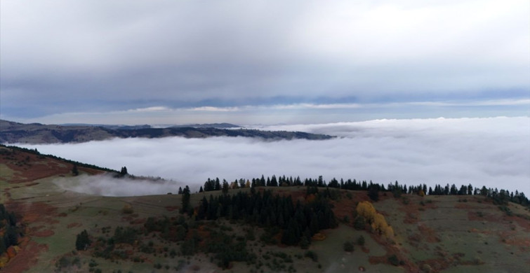 Samsun'da Dürtmen Dağı'nda Büyüleyici Sis Manzarası