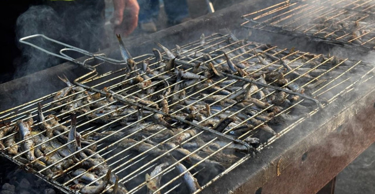Samsun'da Hamsi Festivali: 3 Ton Hamsi 2 Saate Tükendi