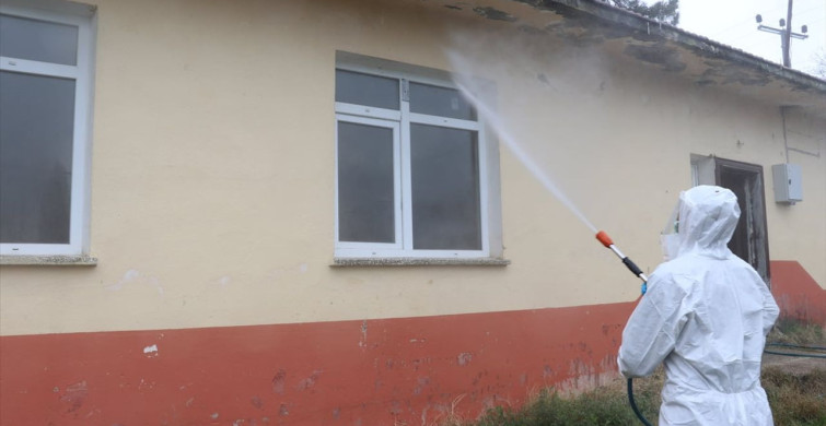 Samsun'da Kahverengi Kokarca ile Mücadele Başlatıldı