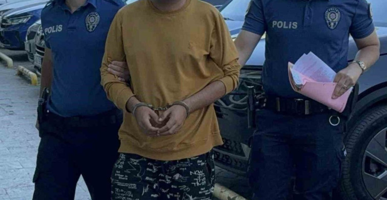 Samsun'da kediye tekme atan şahıs yakalandı
