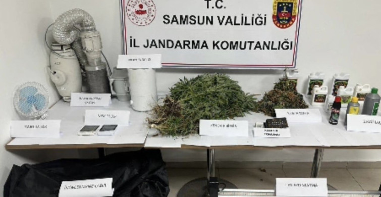 Samsun'da Kenevir Operasyonu: Jandarma Suçüstü