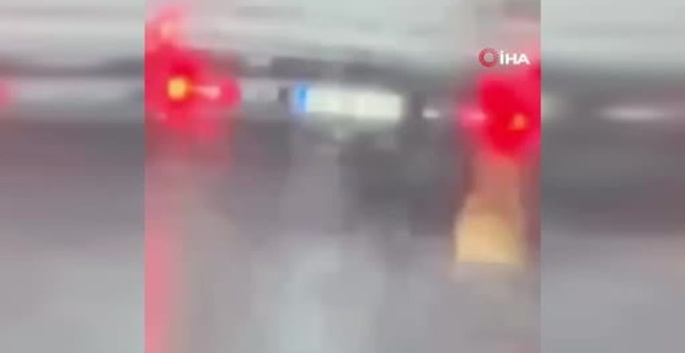 Samsun'da Köpeği Sürükleyen Şahıs Gözaltına Alındı