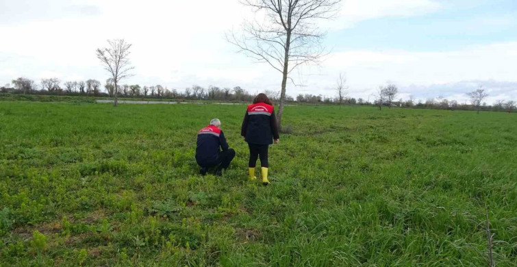 Samsun’da Mera Islah Çalışmaları Devam Ediyor