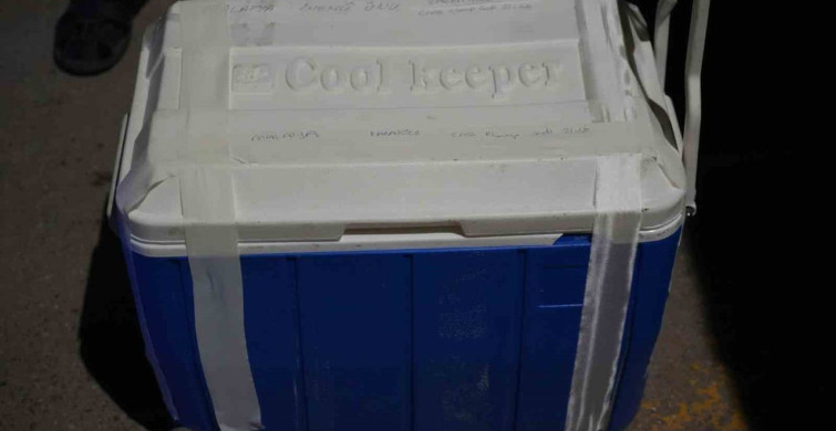 Samsun'da Organ Bağışı Hayat Kurtardı