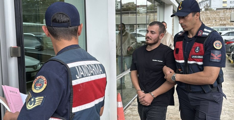 Samsun'da Ormanlık Alanda Darp Olayı: İki Şüpheli Tutuklandı
