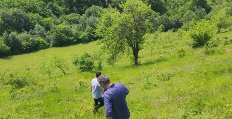 Samsun'da Salep Üretiminde Denetim ve Gelişim